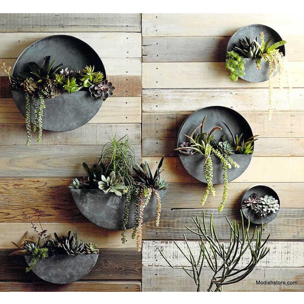 Roost Orbea Zinc Circle & Half-Circle Wall Planters