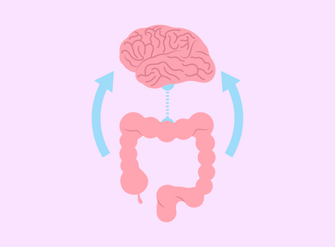 gut-brain-skin axis