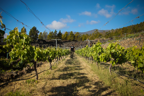 Finca Bodegas Ferrera