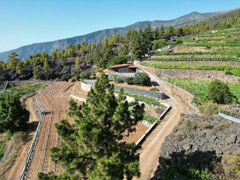 Rural house in Tenerife