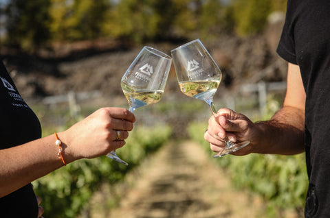 Visita a viñedo con cata Bodegas Ferrera