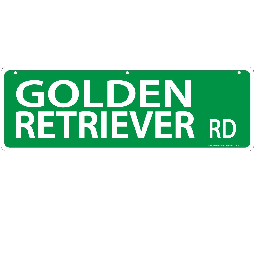 Imagine This Golden Retriever Street Sign