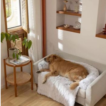 Plush Pet Beds For Dogs And Cats Of All Sizes | Pawsi Clawsi