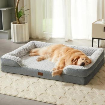 Elevated Pet Beds For Dogs And Cats Of All Sizes | Pawsi Clawsi