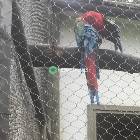 macaw netting