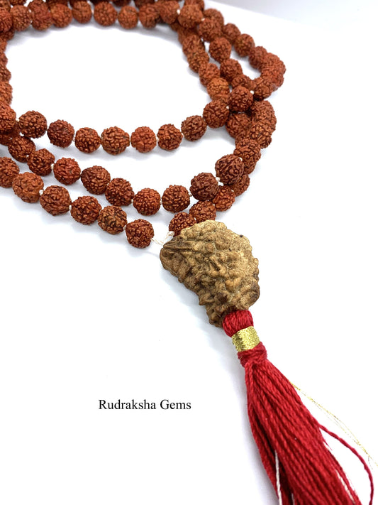 Rudraksha Om Rudraksh Japa Mala Rosary 108 1 Bead Yoga Hindu