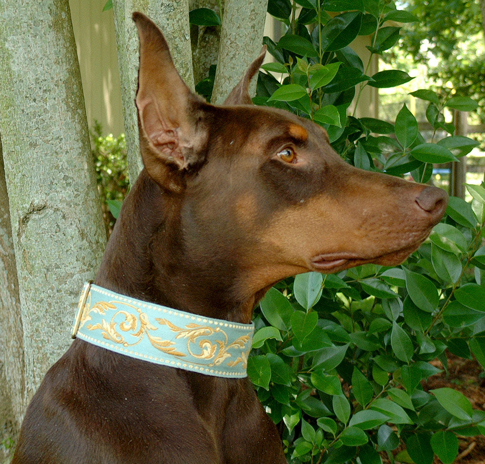 Monte Carlo Sage 2 Inch Masterpiece Dog Collar