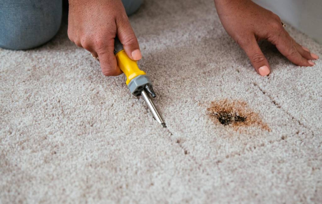How to Fix Damaged Carpets
