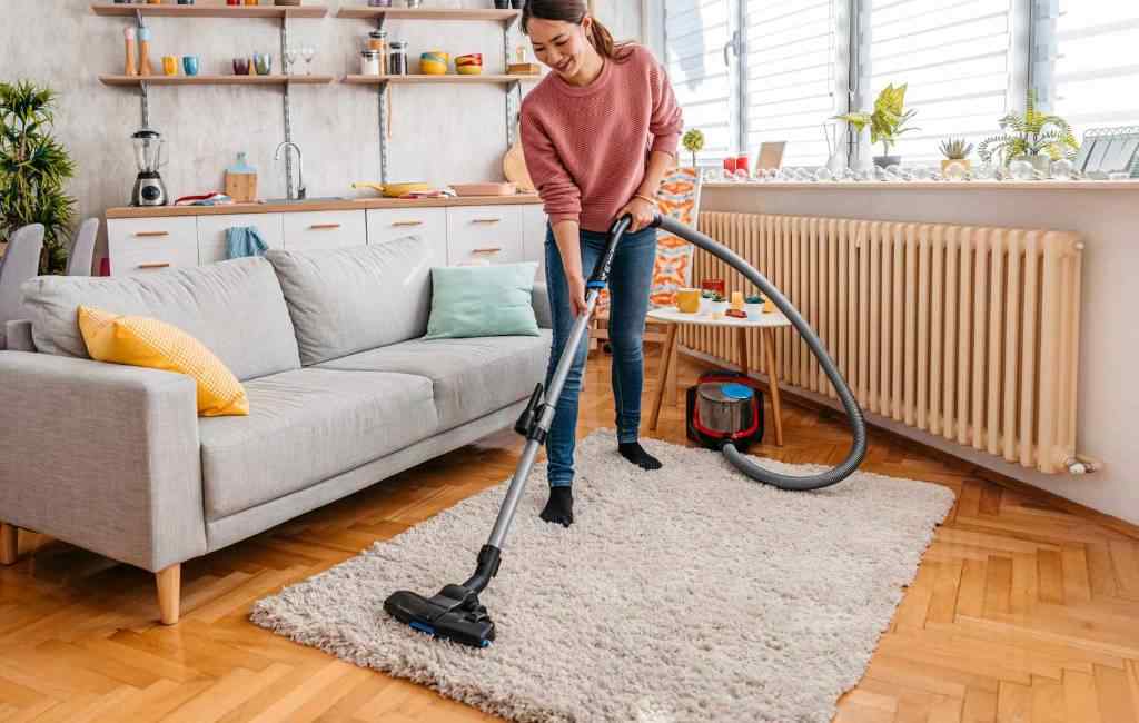 Living Room Rug Care and Cleaning
