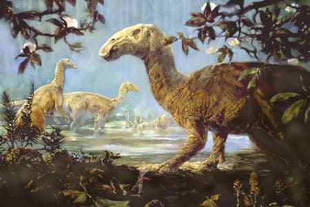 les dinosaures font partie de la faune des jungles de Chult, ici de pacifiques hadrosaures