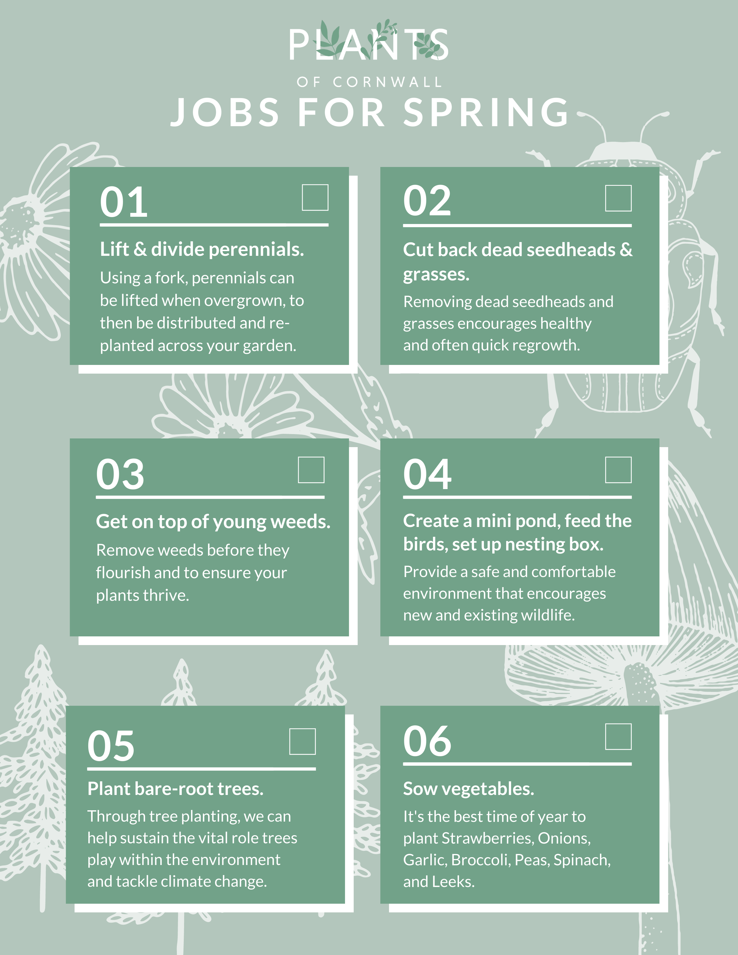 Jobs for Spring