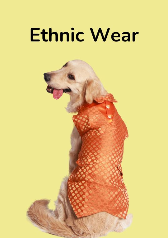 Ethnic wear