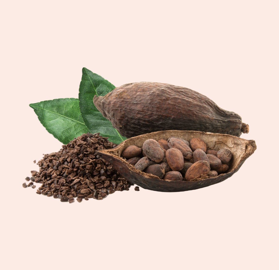 cacao