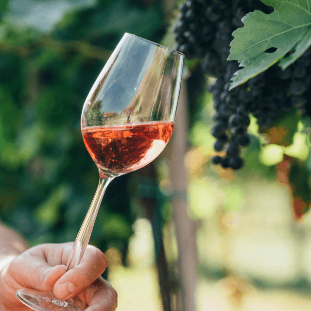 A glass of  Rosé wine