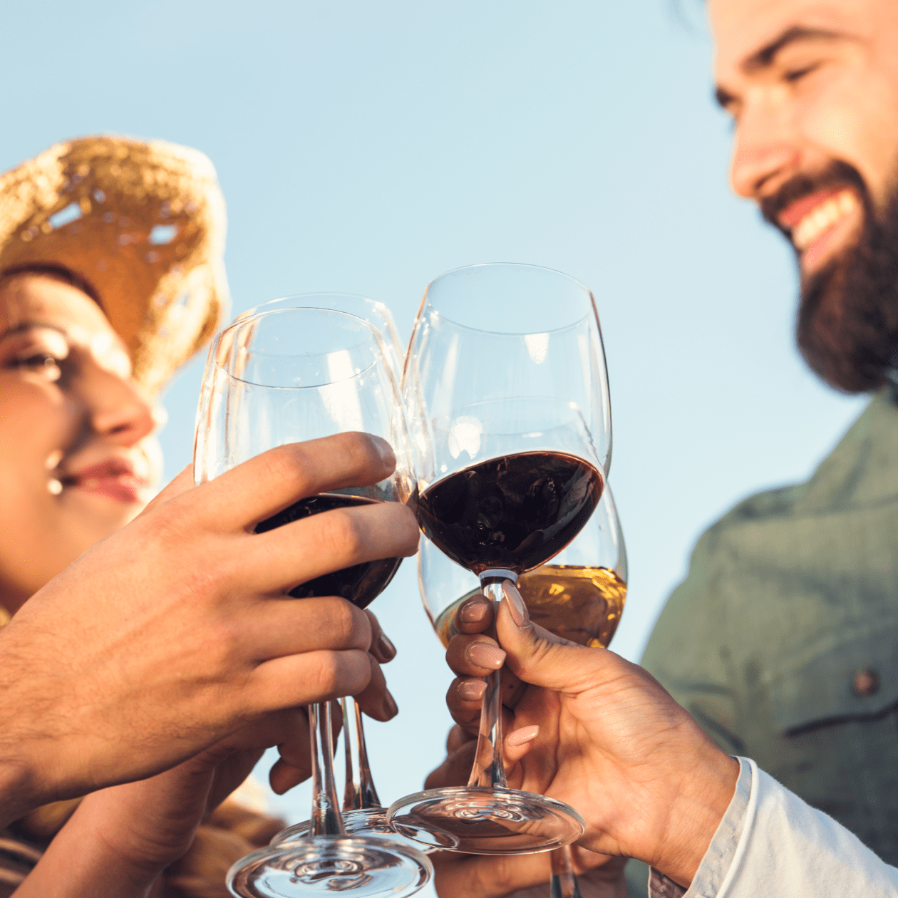 Friends cheersing glasses of wine | Macy's Wine Sop