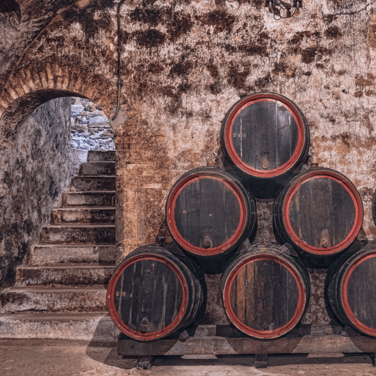 Storing wine barrels | Macy's Wine Shop
