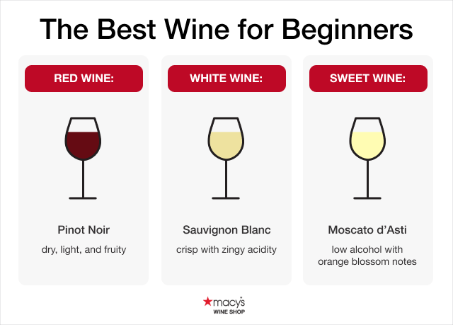 The Best Wine for Beginners | Macy's Wine Shop