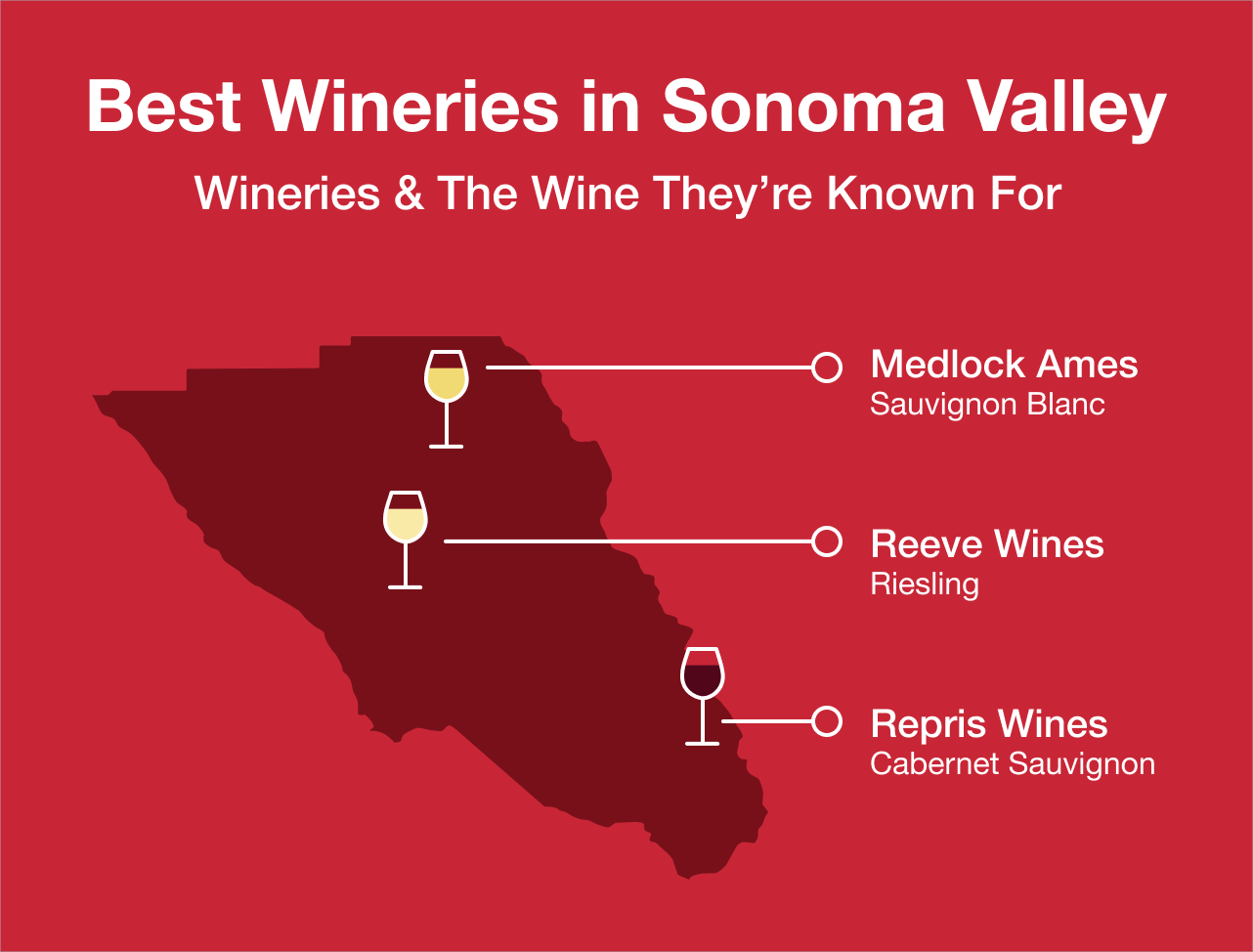 Best Wineries in Sonoma Valley | Macy's Wine Shop