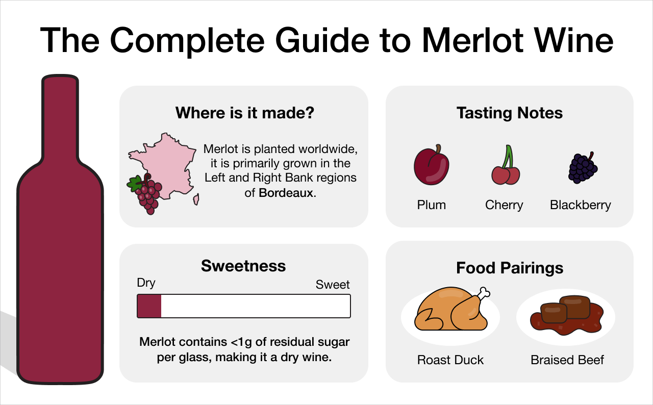 The Complete Guide to Merlot Wine Infographic | Macy's Wine Shop