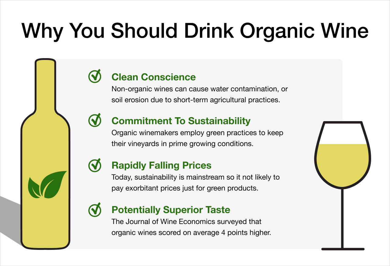 Why You Should Drink Organic Wine Infographic