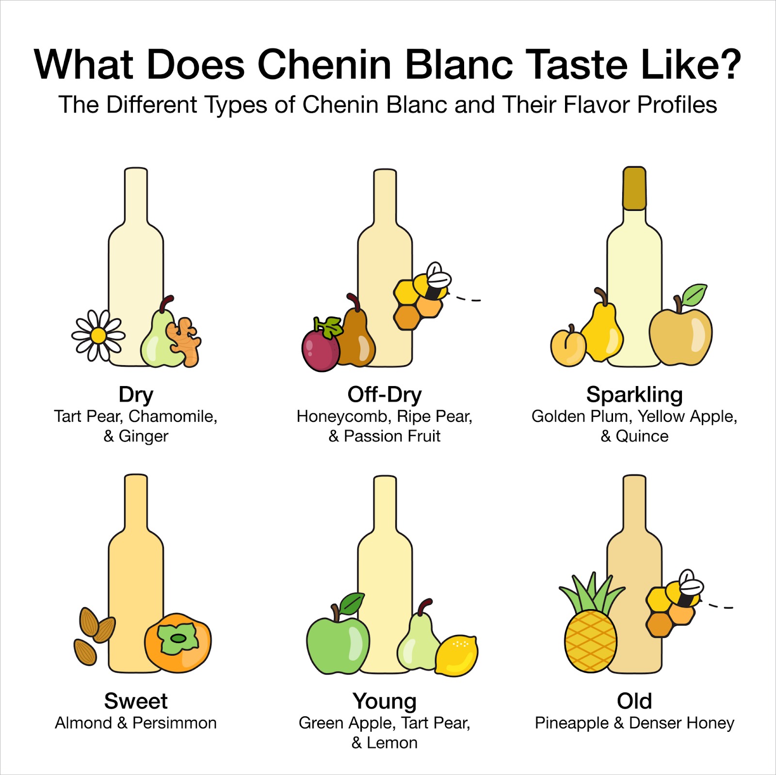 What is Chenin Blanc Wine Infographic | Macy's Wine Shop