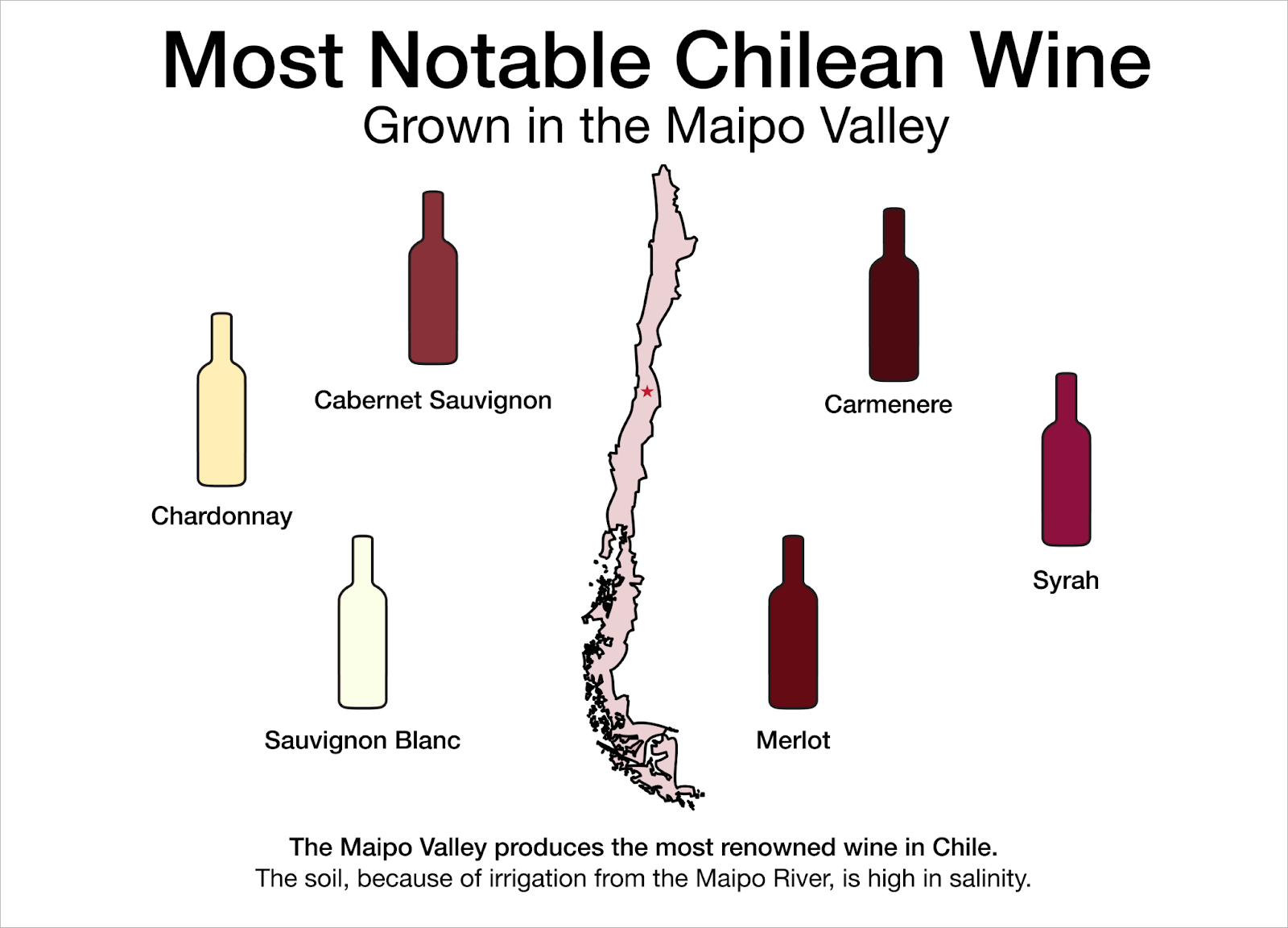 The Most Notable Chilean Wine | Macy's Wine Shop