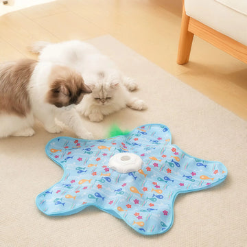 Toys dropshipping product: Cat Toys Interactive Hide and Seek Cat Toy with Mouse
