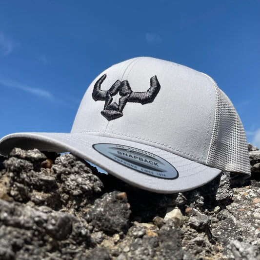 Chicago Bulls 3D Snapback Trucker Hat- Heather Grey/ Black – Ten