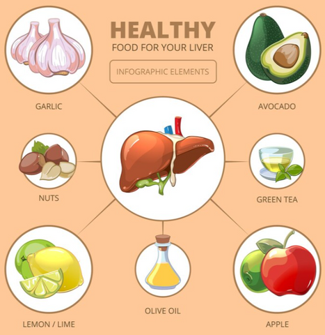 Healthy Liver