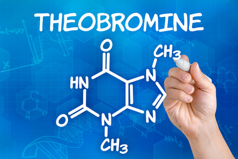 Hand with pen drawing the chemical formula of theobromine