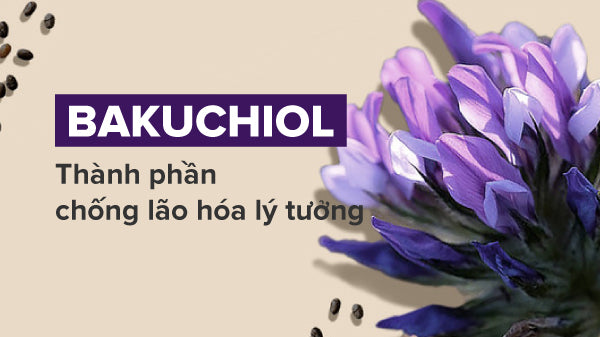 tác dụng của Bakuchiol, Bakuchiol là gì