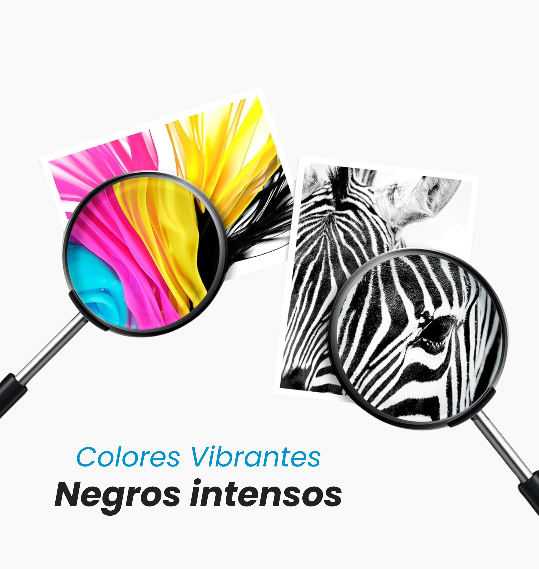 Imagen móvil 3