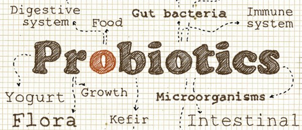 probiotics word
