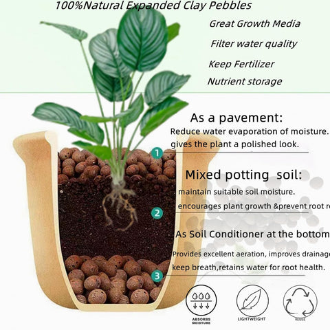 How clay pebbles work with houseplants
