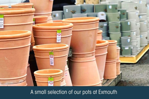 A selection of outdoor pots at Kings Garden and Leisure Exmouth
