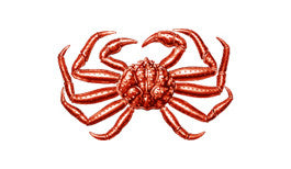 https://cdn.shopify.com/s/files/1/0738/3112/1197/articles/brands_10643_snow-crab_1844.jpg?v=1709025359