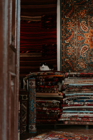 a cat sat on top of a collection of patterned rugs in turkey