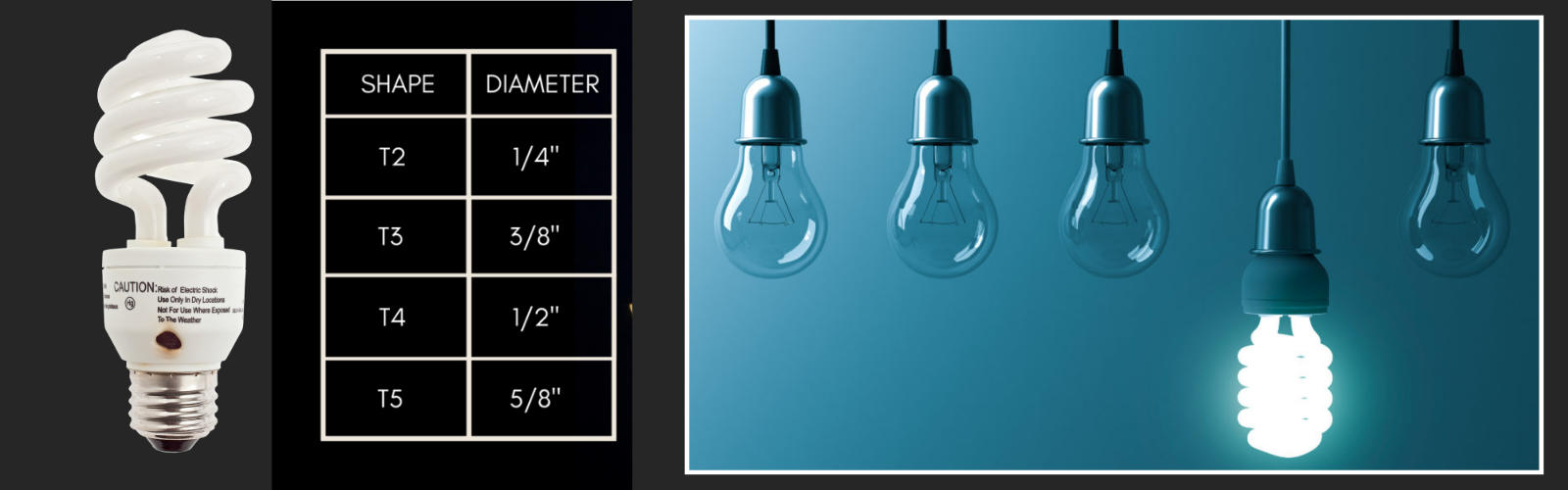 cfl sizes and dimension, showing fried cfl bulb