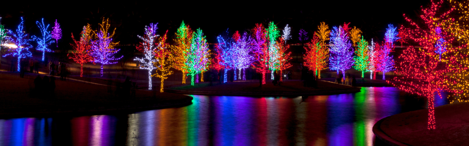 holiday Christmas led lights