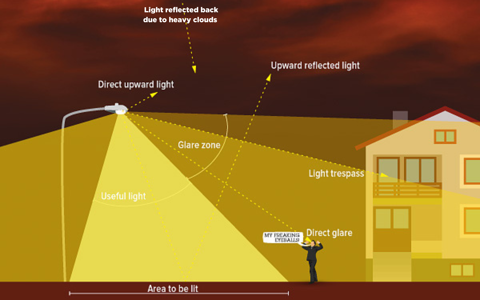 infographic example of light pollution
