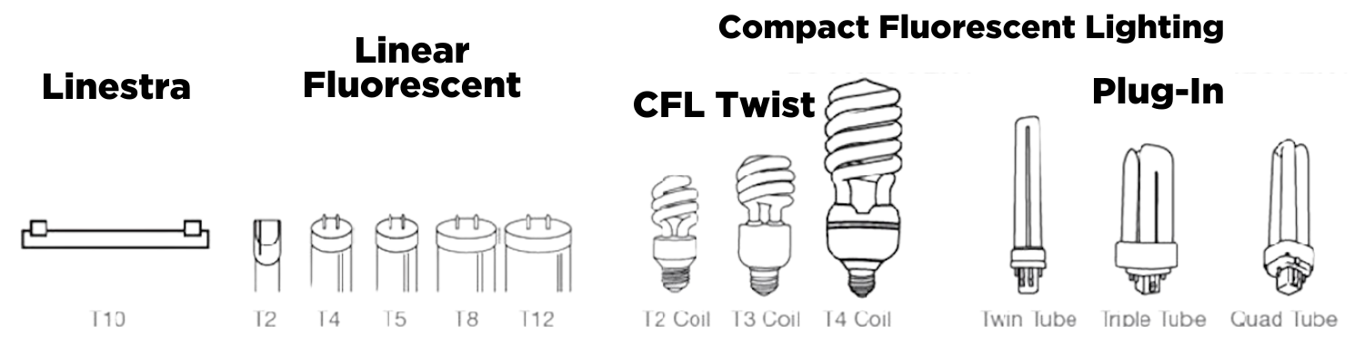 CFL bulbs shapes