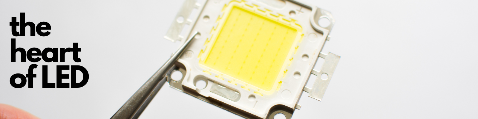 led chip in a bulb