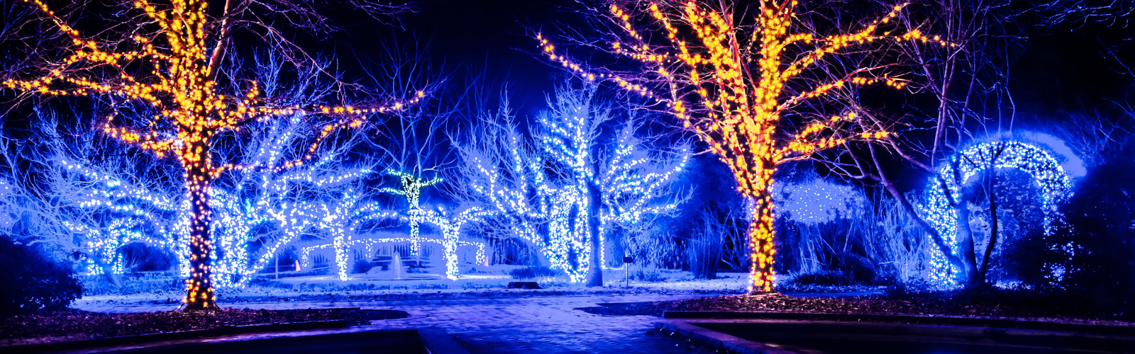 holiday Christmas lights, led outdoor display