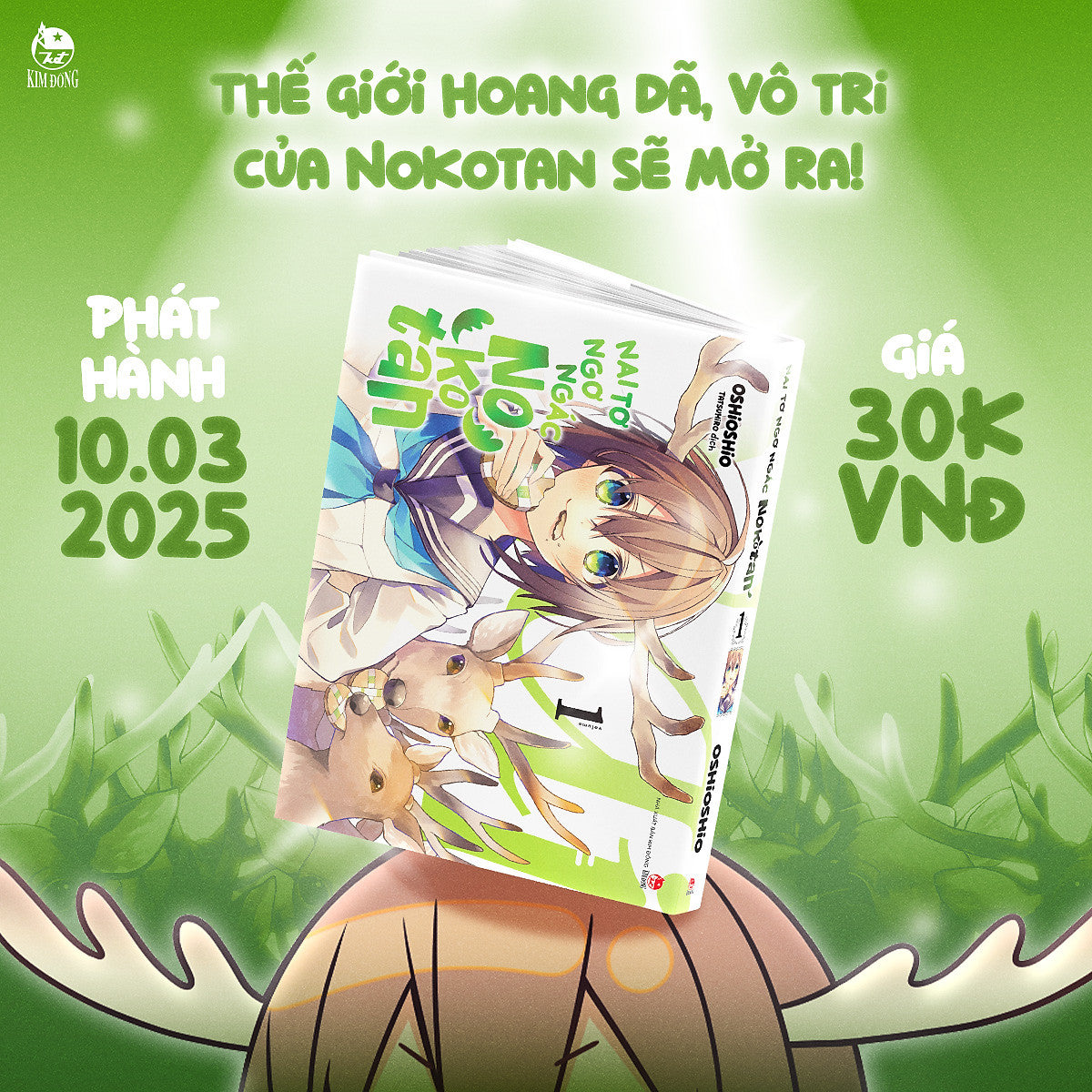 Truyện Tranh Nai Tơ Ngơ Ngác Nokotan (Chang Book)