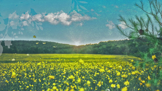 spring worship backgrounds