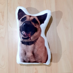 pet photo pillow