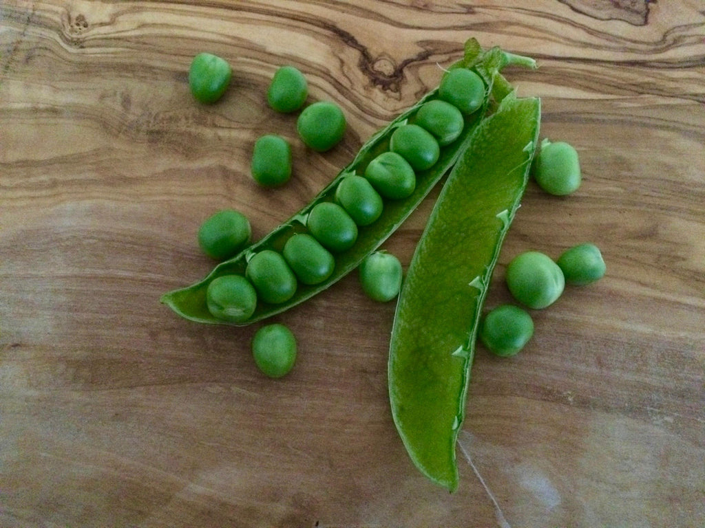 Concombre à cornichon National Pickling - Bio - Jardins de l'écoumène