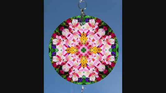 Larkspur Rainbow Maker I July Birth Flower Suncatcher Window