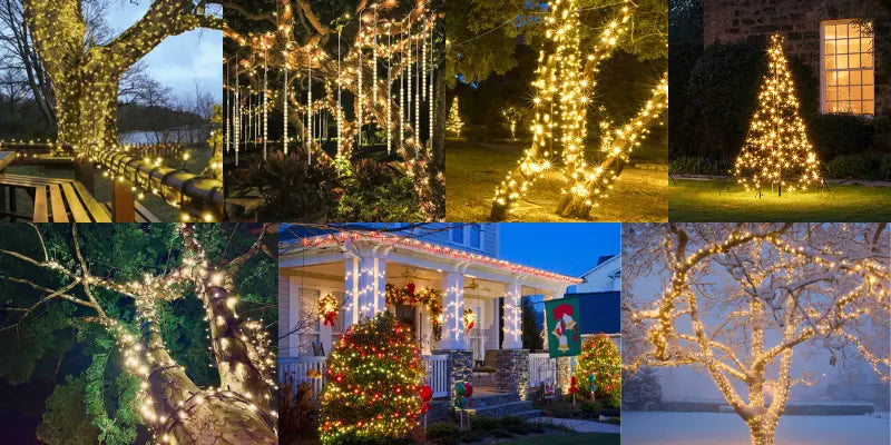 Lighting Techniques for Outdoor Trees
