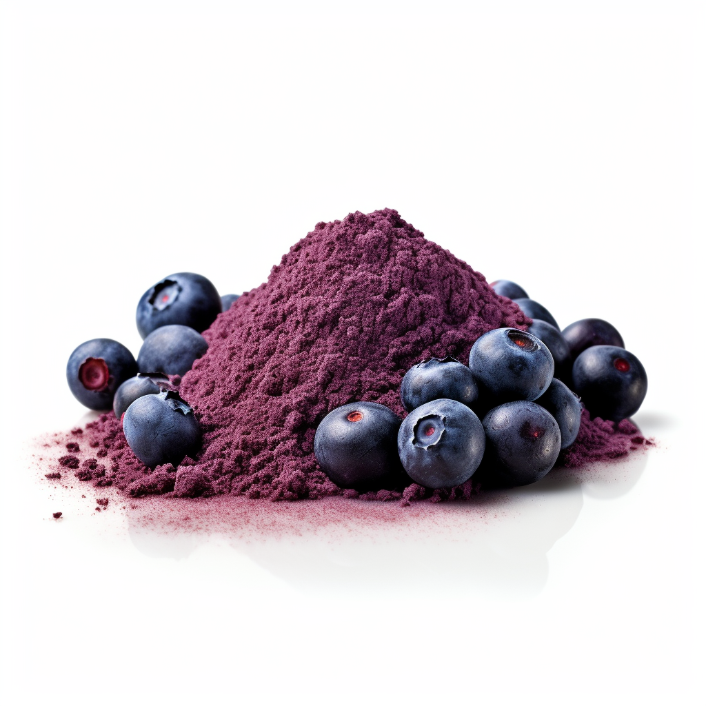 Eye-healthy Bilberry Fruit Powder for vascular health in Reddy Red Superfood Powder